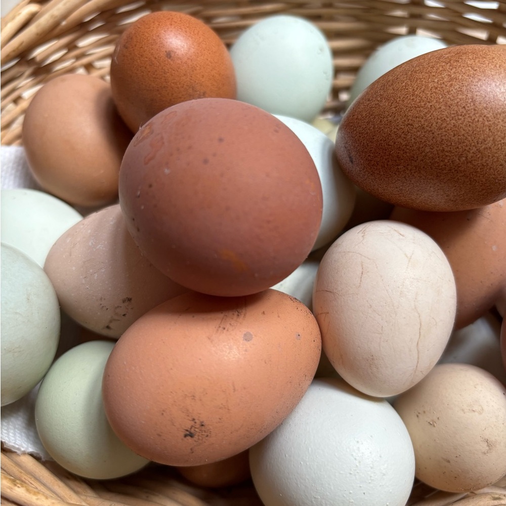Hatching eggs 🪺 - Picture 9 of 15